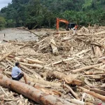 Viral Kayu Gelondongan Banjir Sumatera, Mendagri Tito: Saya Jujur Belum Tahu Jawabannya