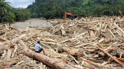 Viral Kayu Gelondongan Banjir Sumatera, Mendagri Tito: Saya Jujur Belum Tahu Jawabannya